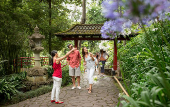 Globus, independent tours, asian garden