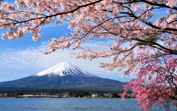 Mount Fuji and Cherry tree, Japan (photo via Goryu / iStock / Getty Images Plus)