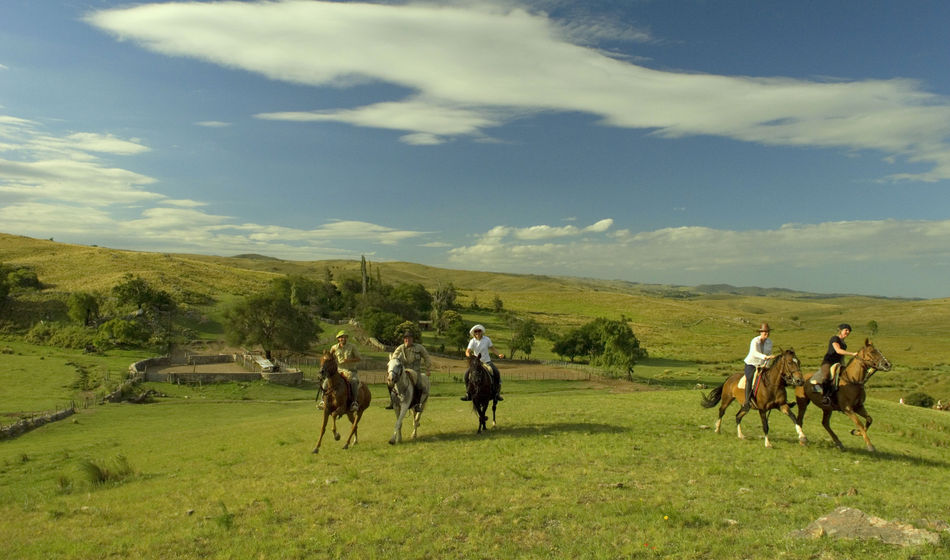 Estancia los Potreros, Argentina, Cordoba argentina, immersive travel experiences,