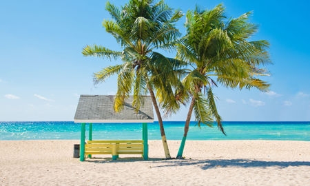 Caribbean beach with palm trees, Grand Cayman, Cayman Islands. (Photo via IreneCorti / iStock / Getty Images Plus)