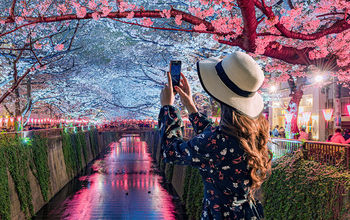 Young tourists admire the beauty of cherry blossom trees in Tokyo at the Meguro River, Japan.