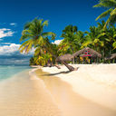 Tropical beach on Saona Island, Dominican Republic.