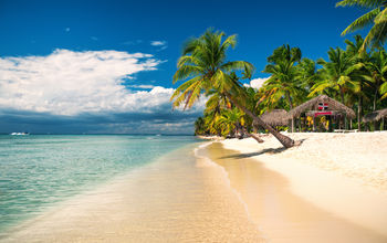 Tropical beach on Saona Island, Dominican Republic.