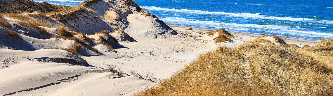 Dunes at the northern sea near Skagen, Denmark