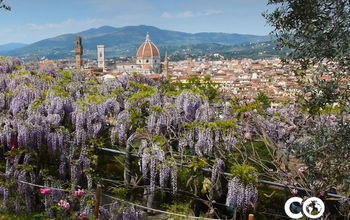 Low Season in Italy