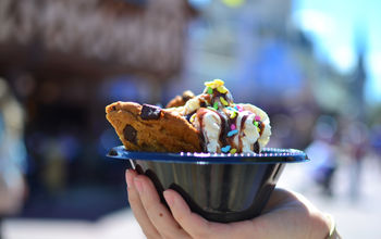 Hot fudge cookie sundae, Disney World, Disney food, Magic Kingdom