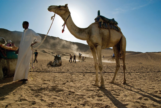 G Adventure's Solo-ish Egypt trip includes camel-riding.