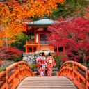 Guided Japan Tours from Only $1,545