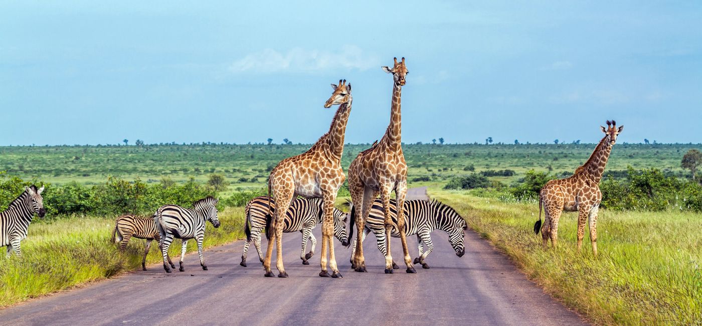 Image: 13-day Cape, Kruger & Victoria Falls Premium Small Group Tour (Photo Credit: Inspiring Vacations)