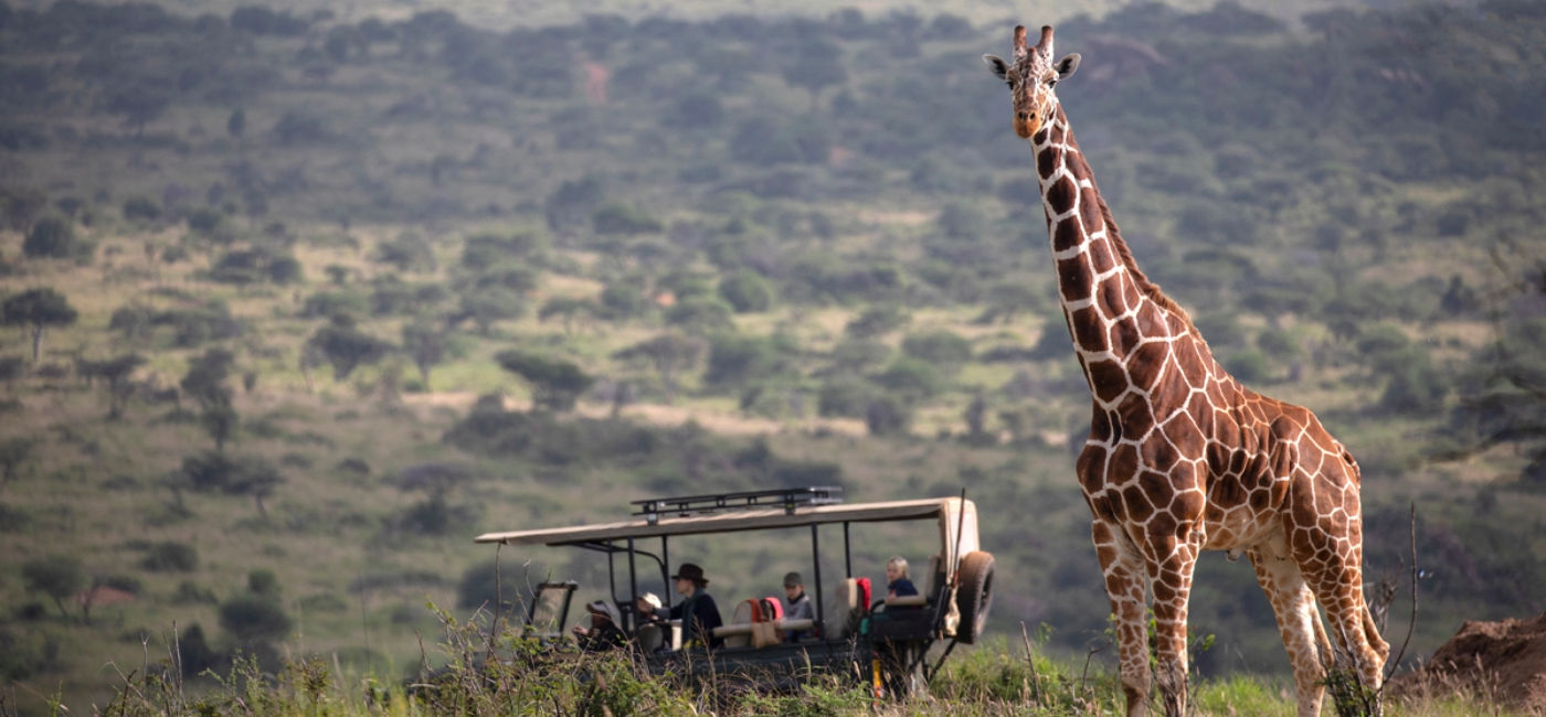 Image: An Elewana Game Drive in Kenya with African Travel, Inc. (Photo Credit: African Travel, Inc.)