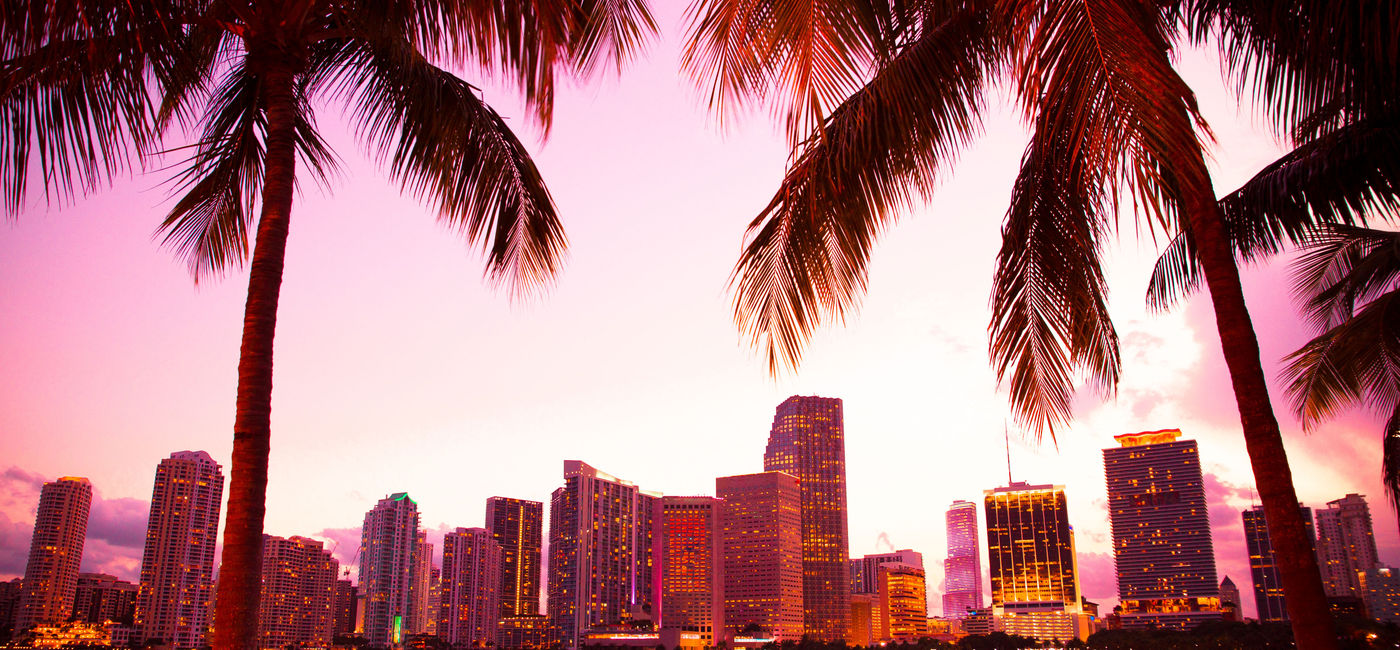 Image: PHOTO: Miami, Florida skyline and bay at sunset seen through palm trees. (photo via littleny / iStock / Getty Images Plus)