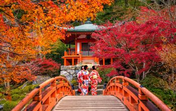 Guided Japan Tours from Only $1,545