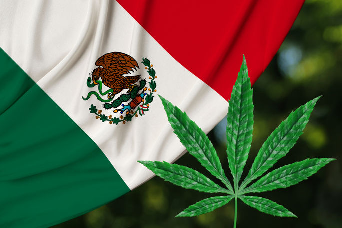 Mexico Weed, Mexico flag marijuana, 