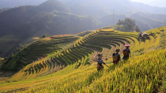 North & Central Vietnam: Hanoi, Hoi An & Countryside Adventures