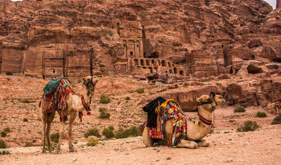 Camels, archaeological site, Petra, Jordan, Middle East