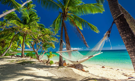 Empty hammock in the shade of palm trees on tropical Fiji Islands (photo via mvaligursky / iStock / Getty Images Plus)