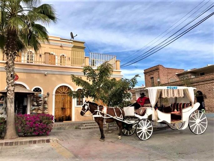 Strolling through Todos Santos 