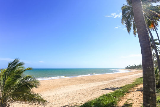 Trancoso, Bahia. Porto Seguro, Brazil. South America.