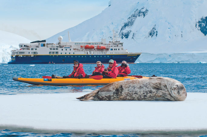 Lindblad Expeditions-National Geographic, seals, animals, expedition cruise, Antarctica, antarctica cruise