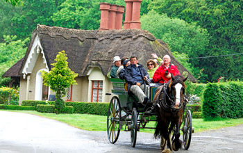 Jaunting Car Ride in Killarney, Ireland