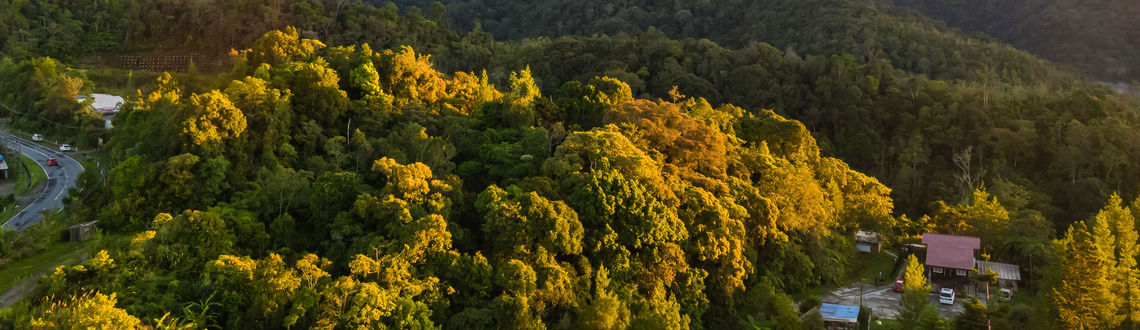 Mount Kinabalu, Malaysia, Mount Kinabalu National Park, forests in Asia, Asian forests