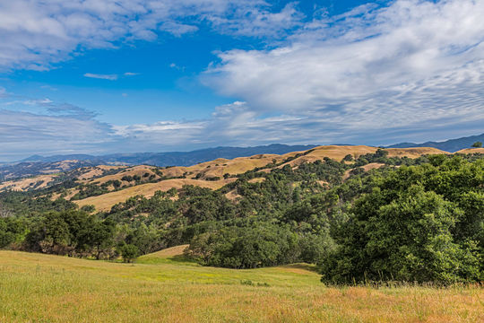 View of Santa Rosa in Sonoma County, California