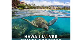 Hawaii Loves Travel Advisors